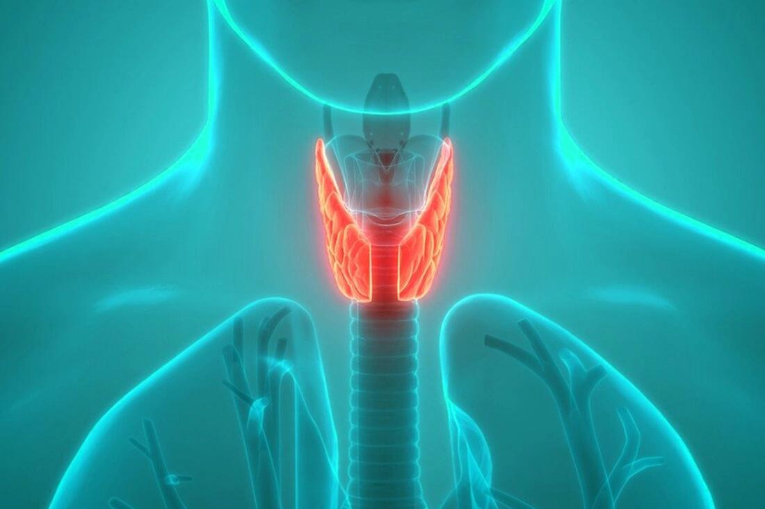 سرطان الغدة الدرقية الحليمي المتكرر