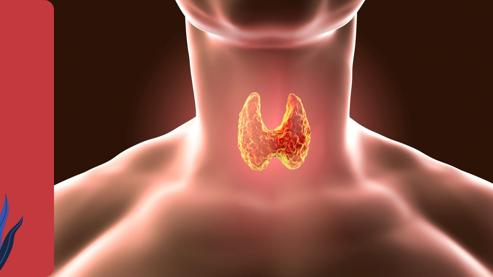 فوائد استئصال الغدة الدرقية