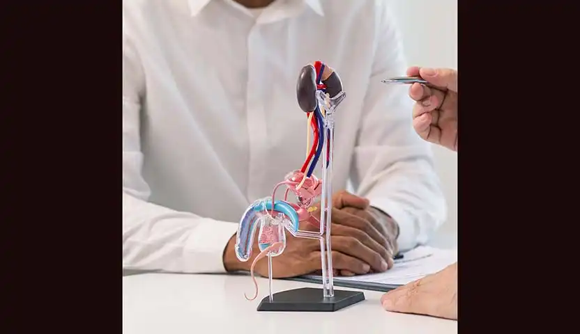 علاج سرطان الخصية